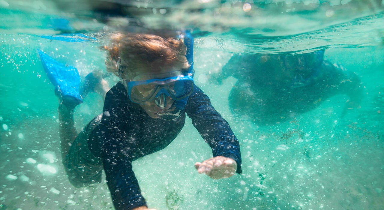 kids snorkeling in the water at regatta bay