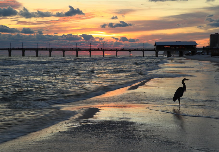 Gulf Shores Alabama beach