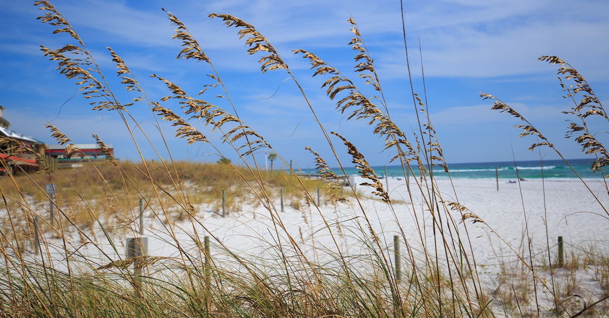 Destin Florida Parks